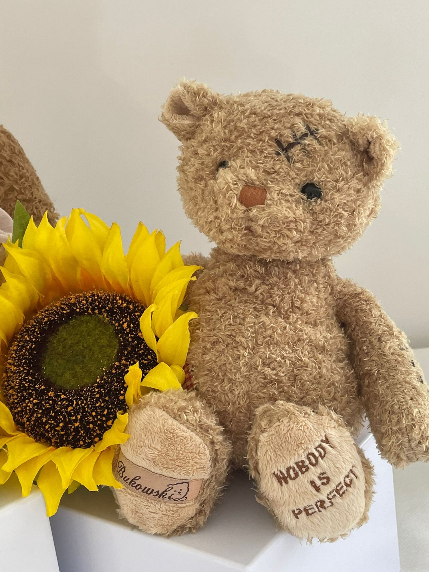Soft Toys & Companions