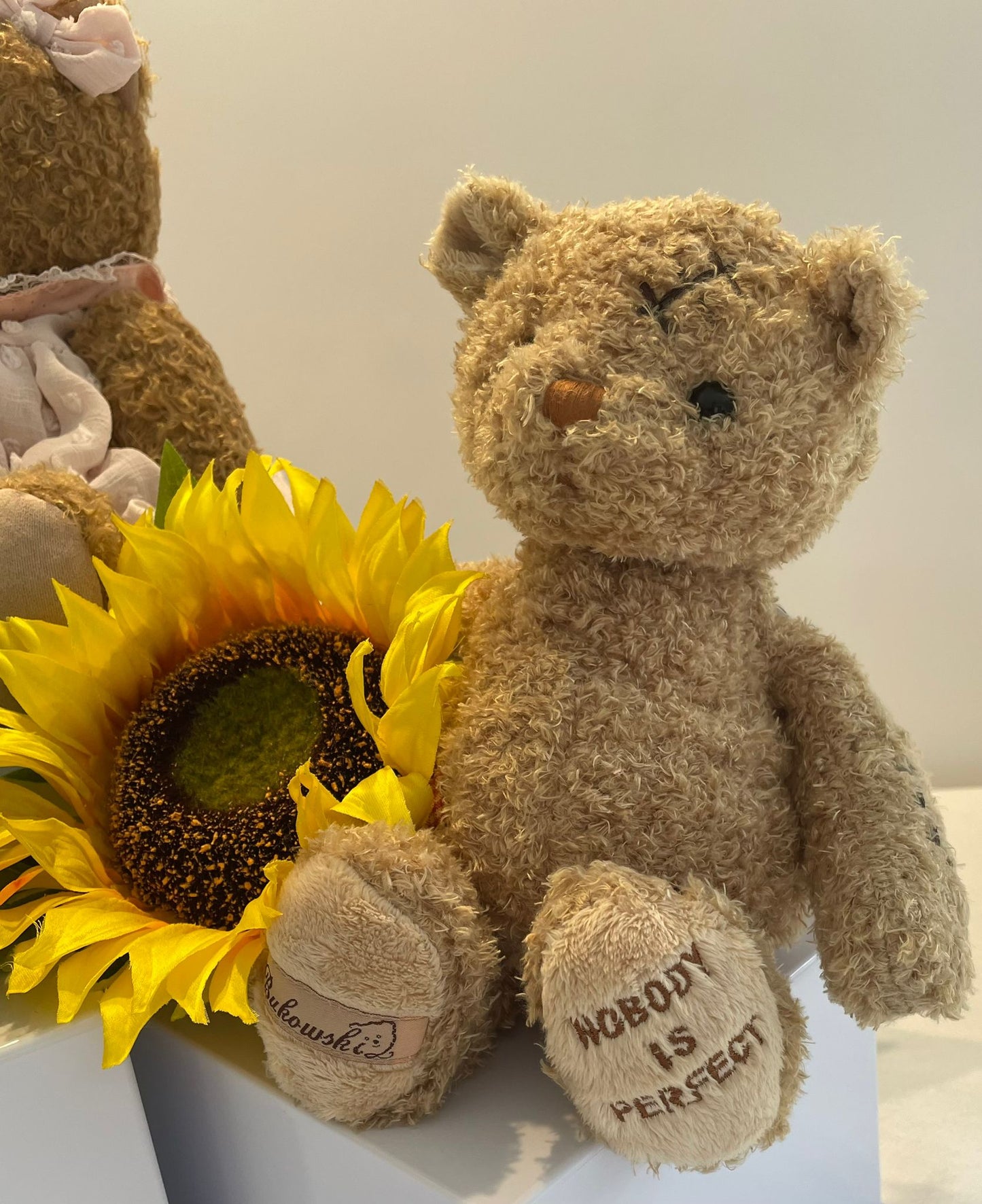 Meet 'Nobody's Perfect' – The Bear That Embraces Every Flaw image 1