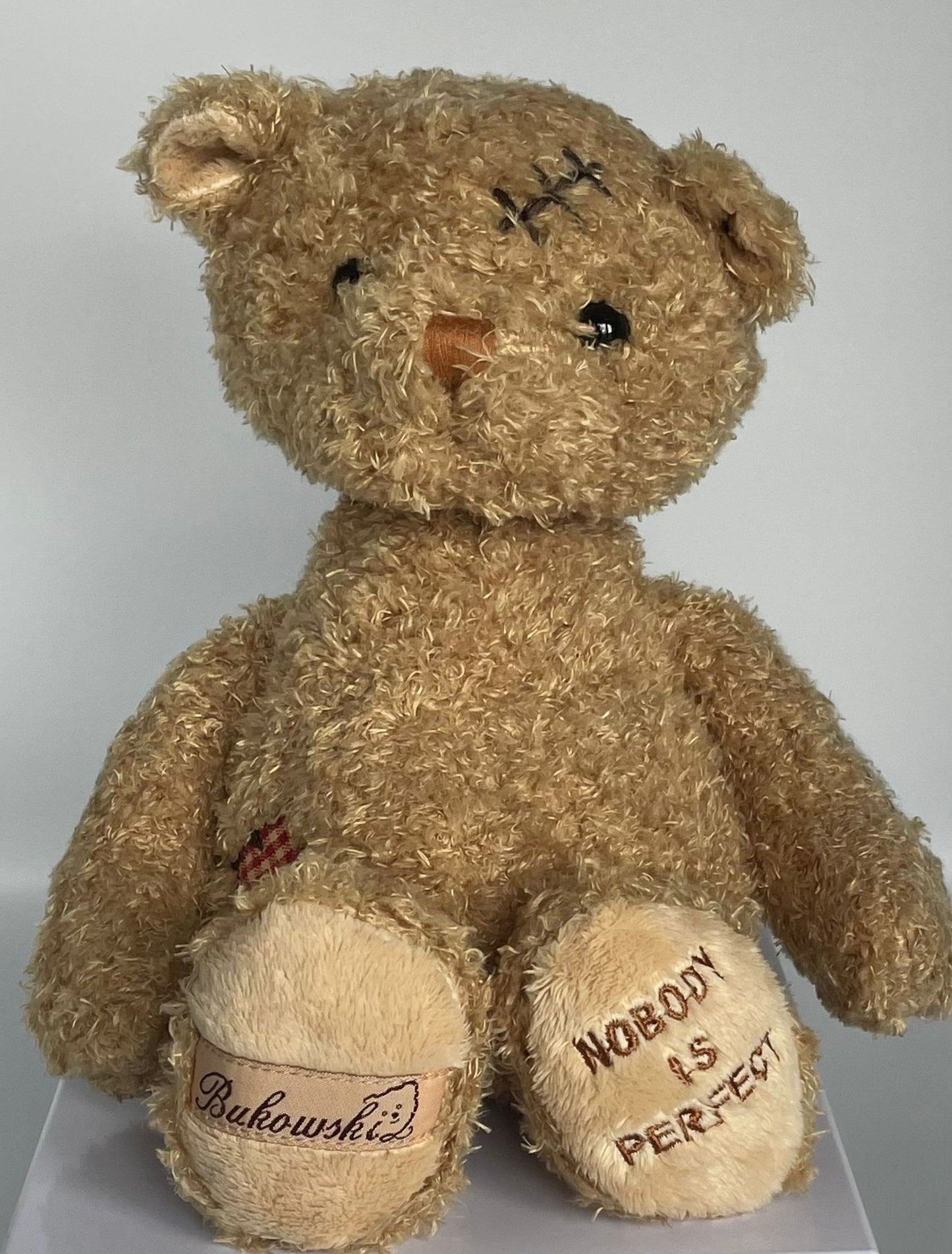 Meet 'Nobody's Perfect' – The Bear That Embraces Every Flaw image 4