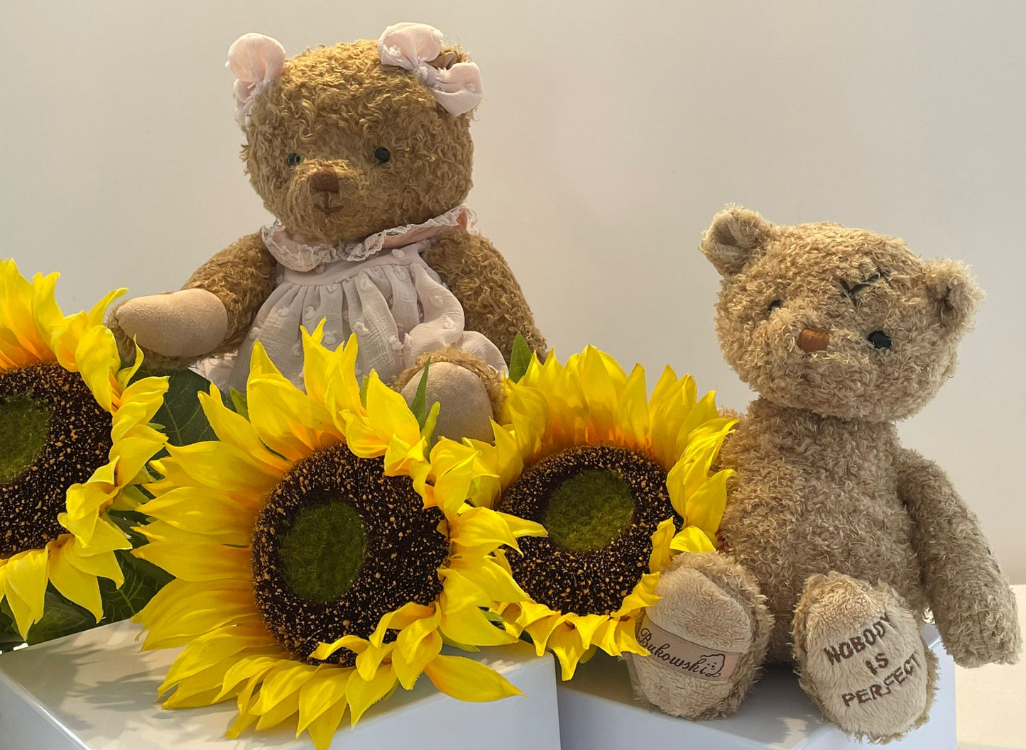 Alice – Your New Cuddle Companion image 7