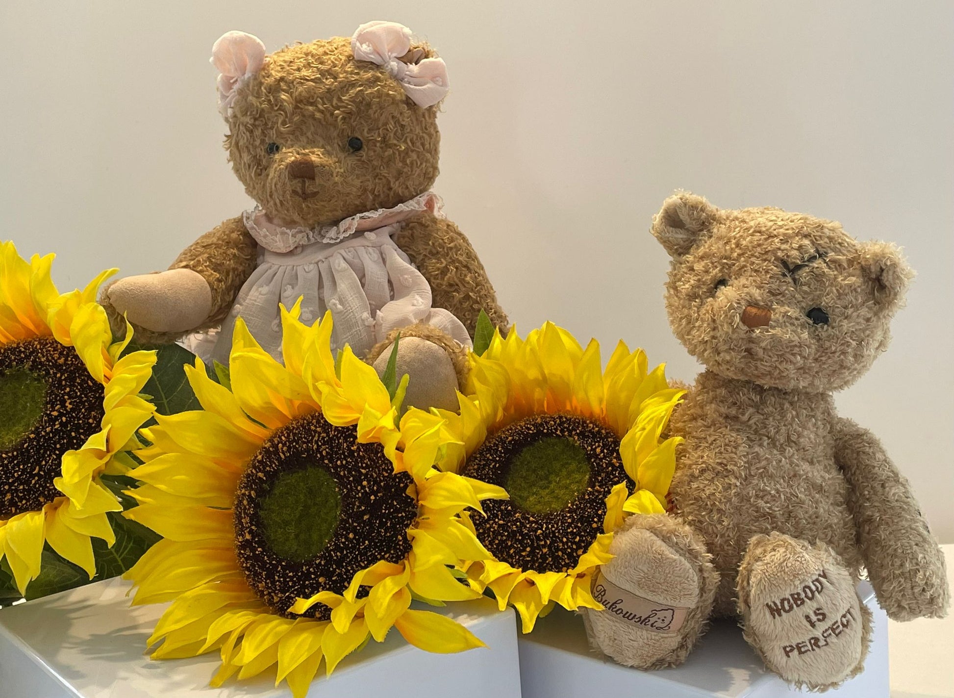 Alice – Your New Cuddle Companion image 7