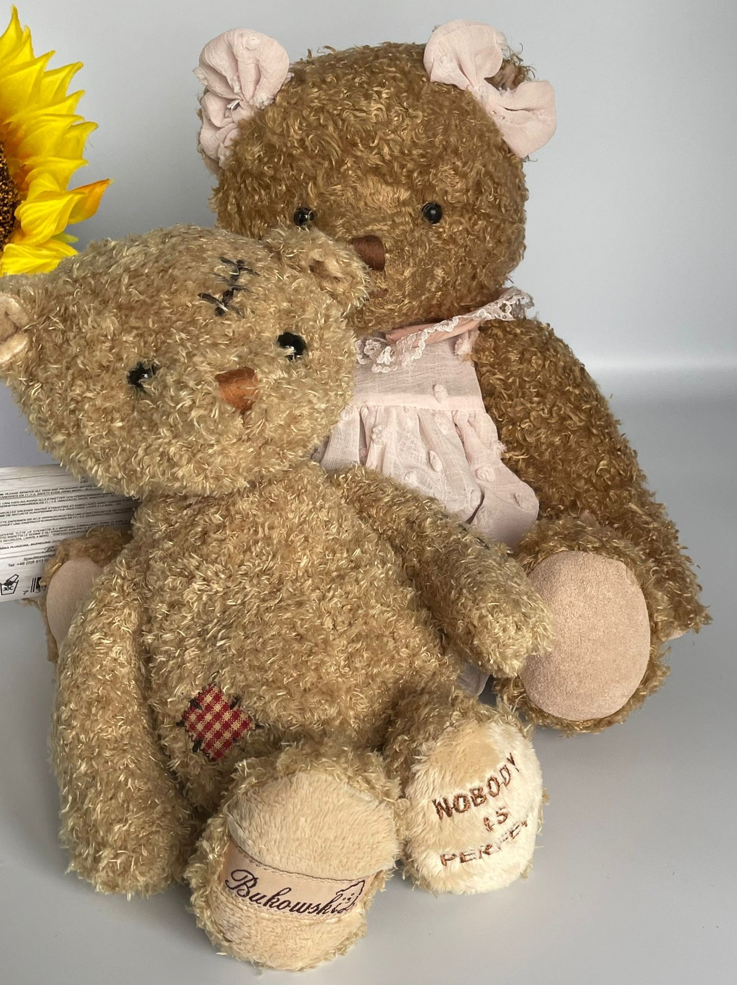Meet 'Nobody's Perfect' – The Bear That Embraces Every Flaw image 5