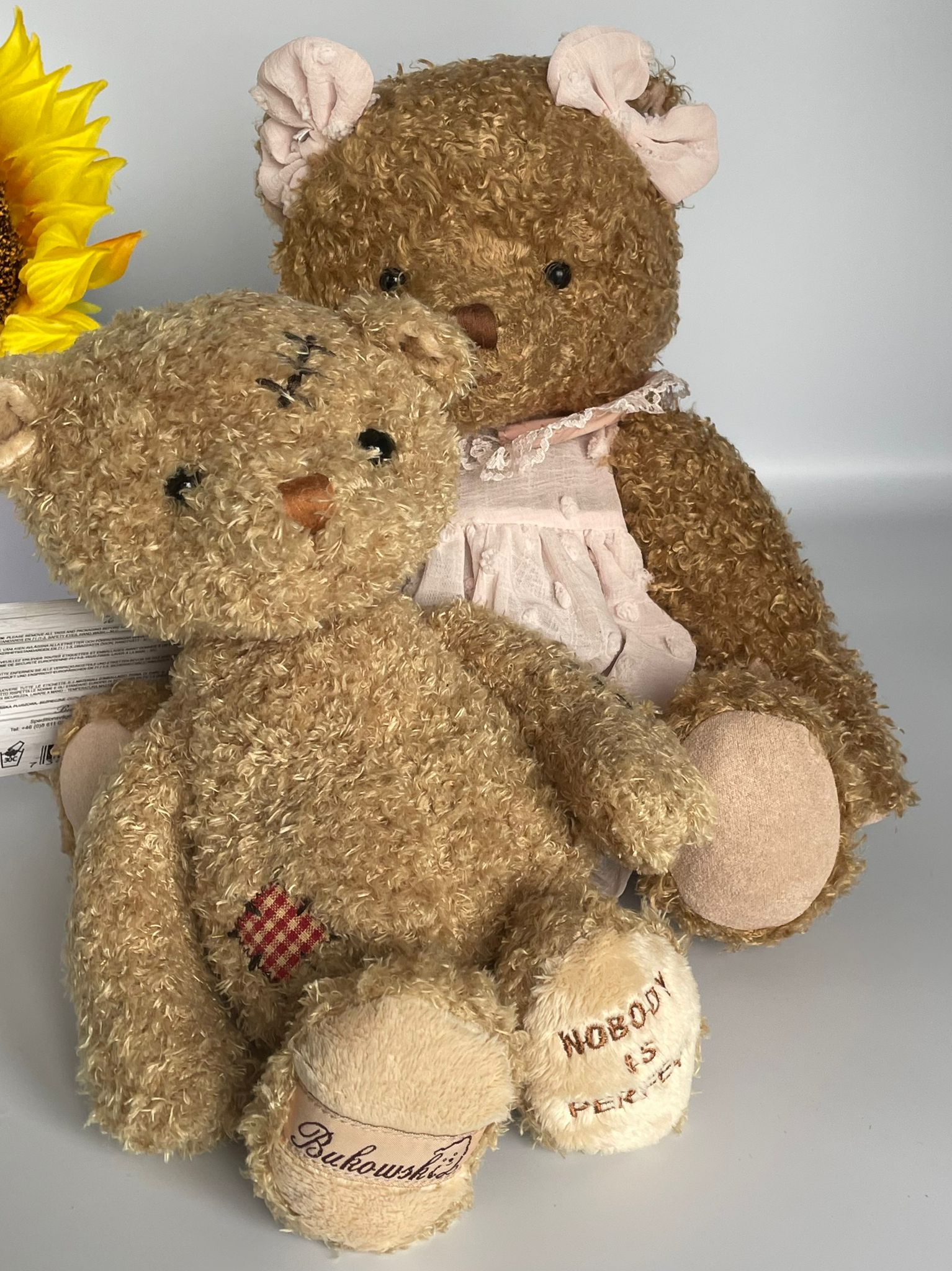 Meet 'Nobody's Perfect' – The Bear That Embraces Every Flaw image 5
