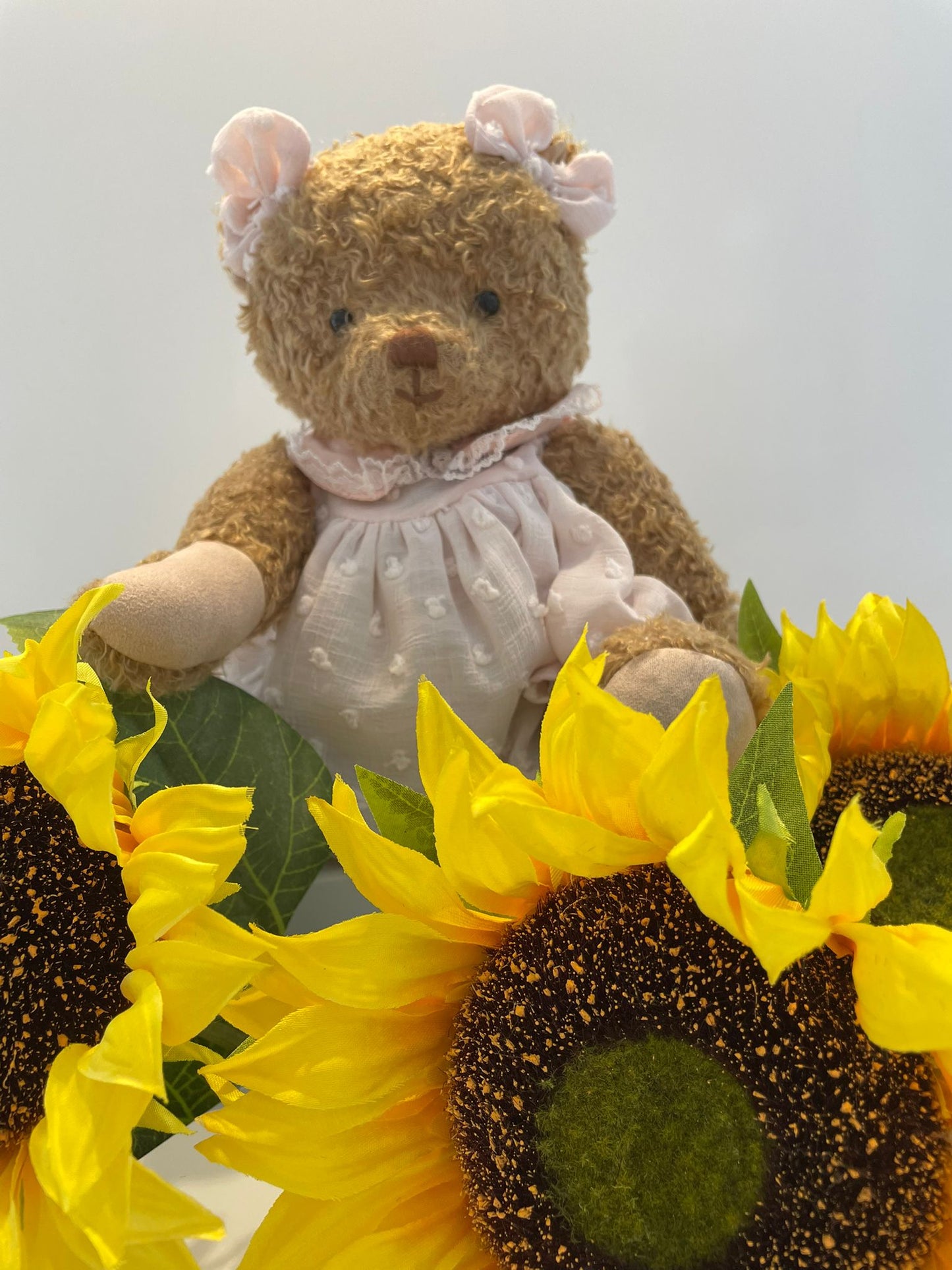 Alice – Your New Cuddle Companion image 3