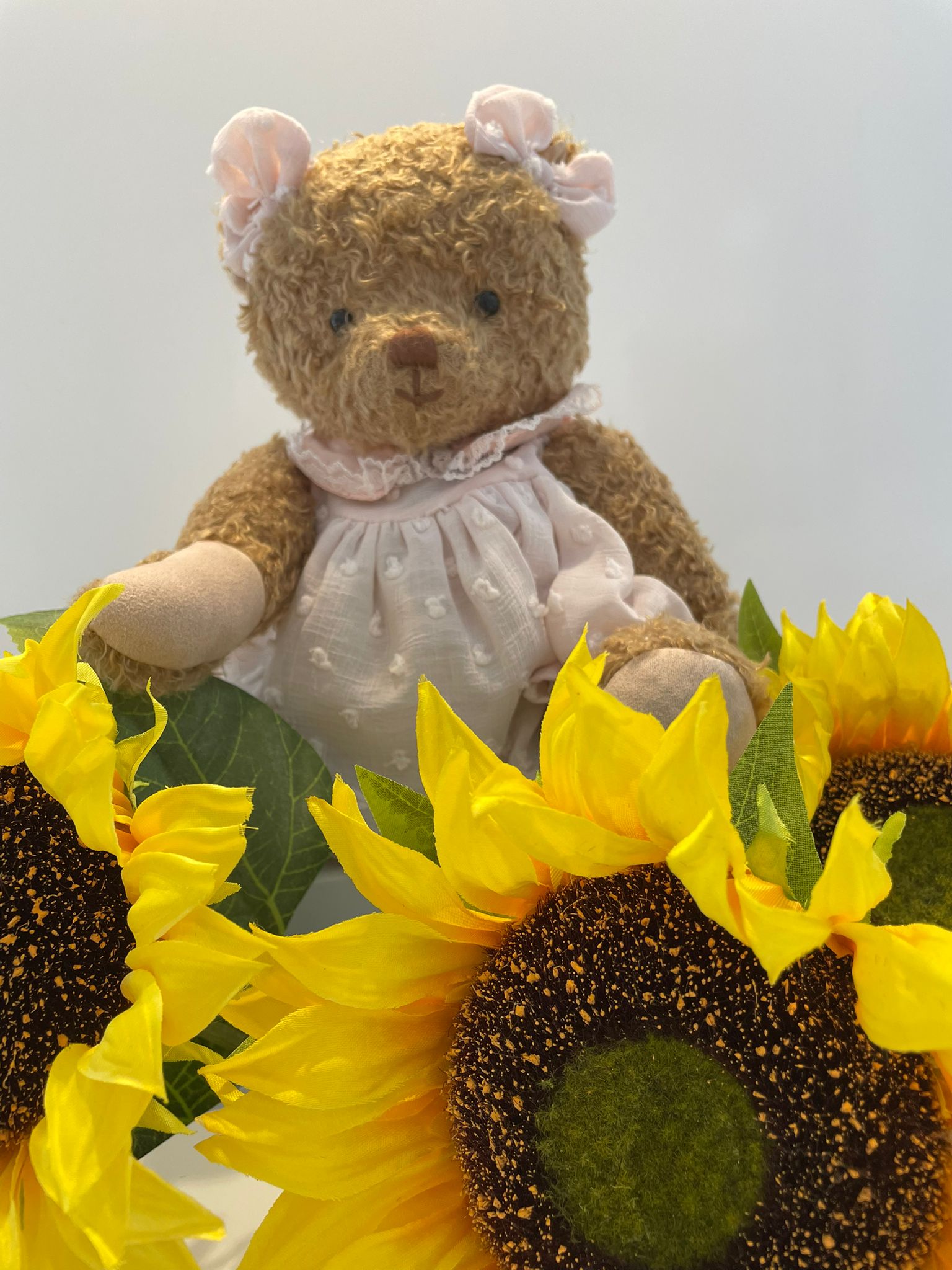 Alice – Your New Cuddle Companion image 3