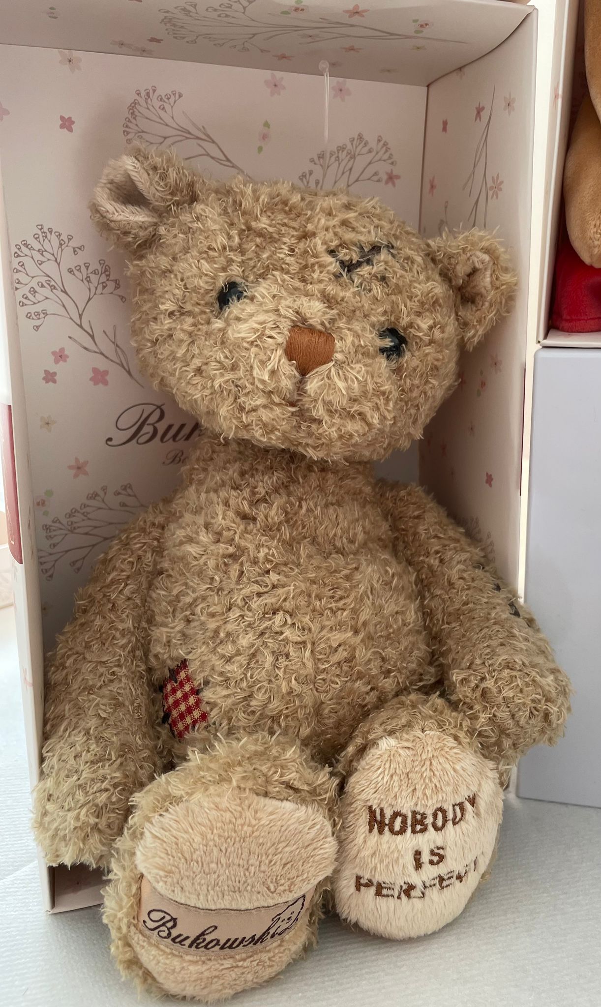Meet 'Nobody's Perfect' – The Bear That Embraces Every Flaw image 3