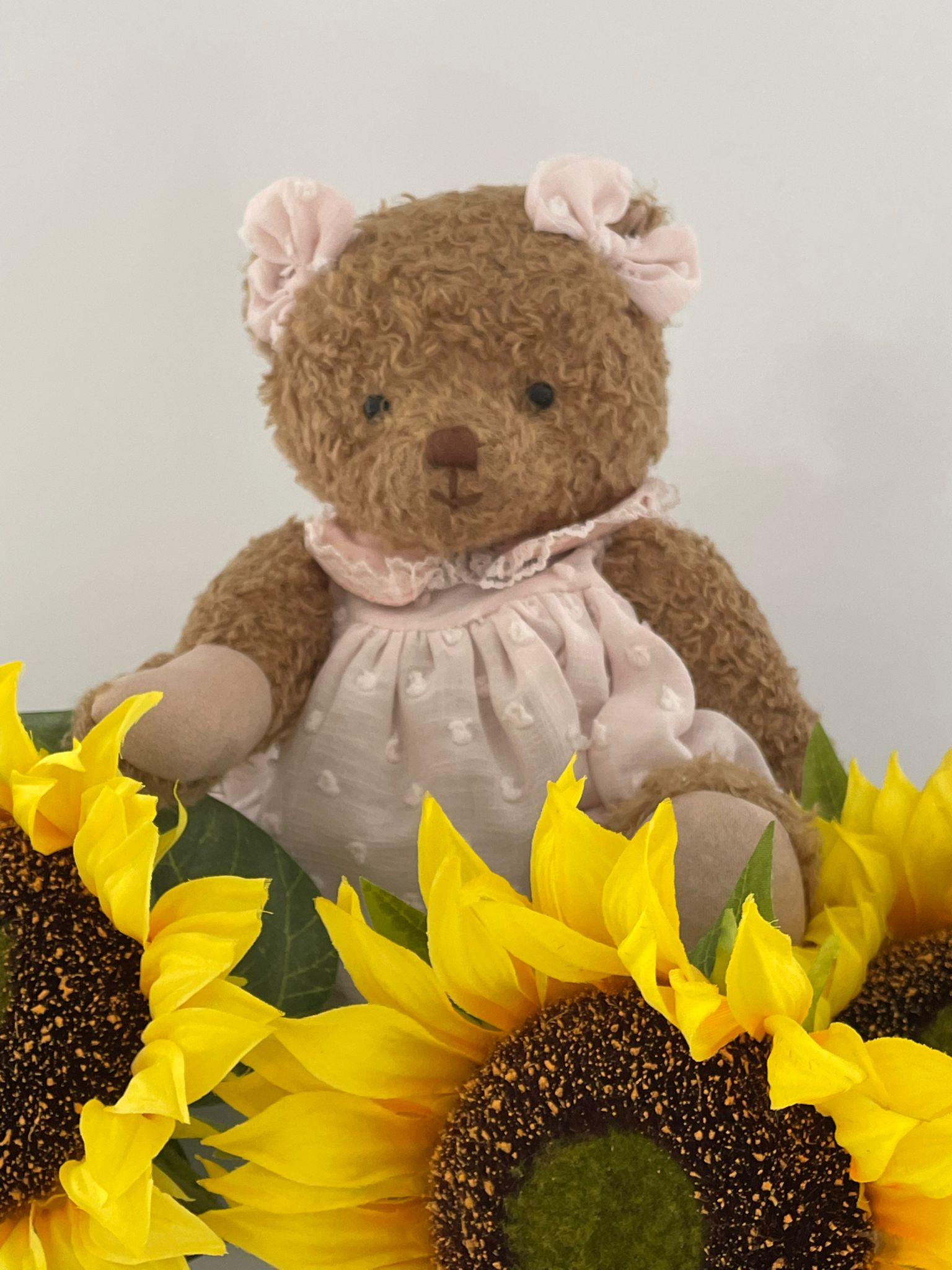 Alice – Your New Cuddle Companion image 2