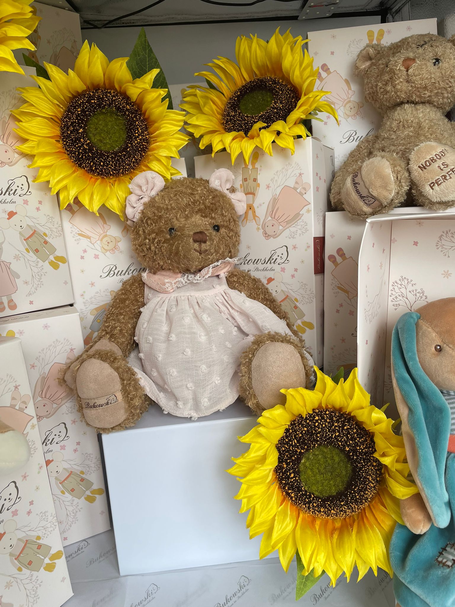 Alice – Your New Cuddle Companion image 6
