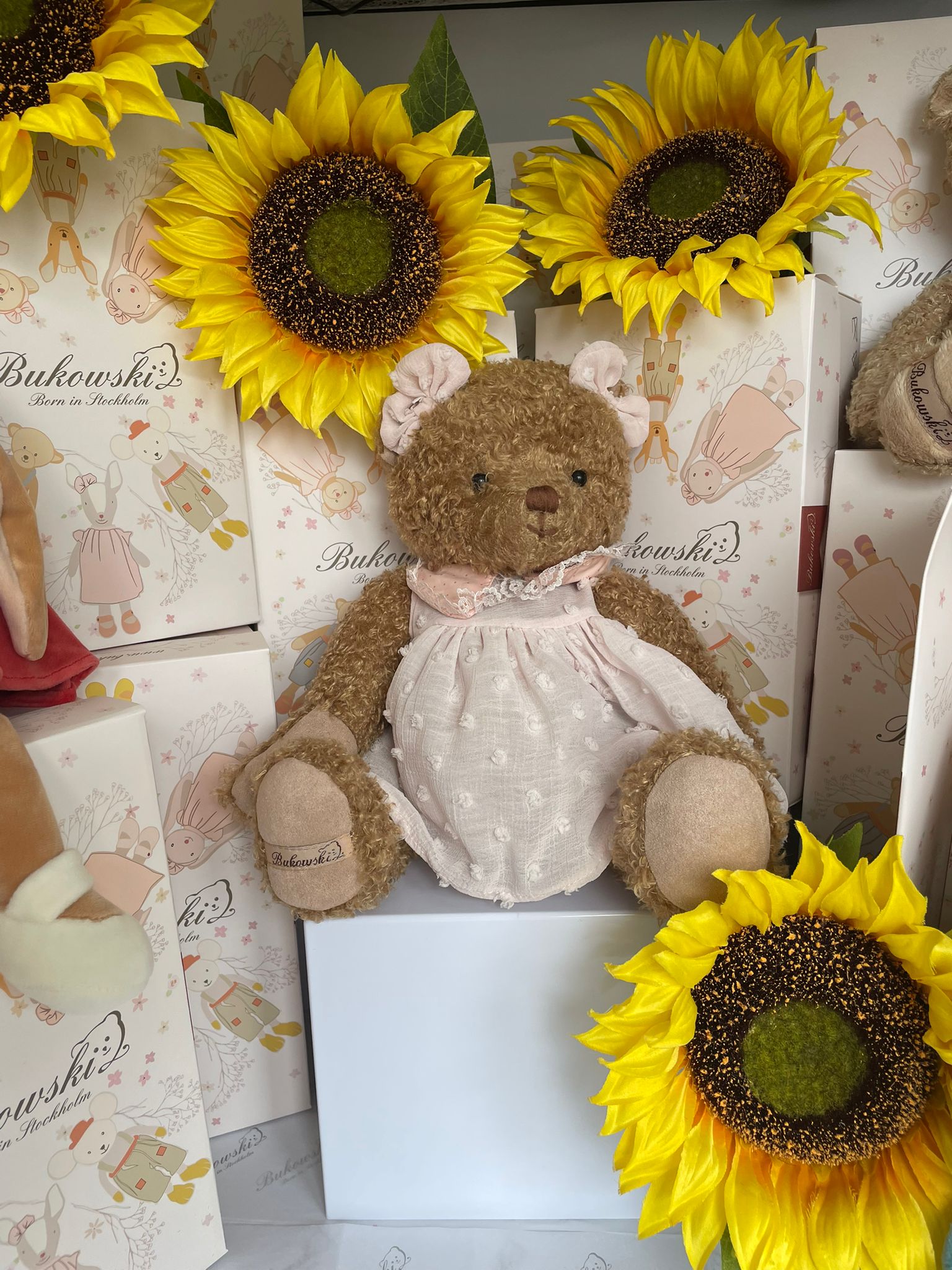 Alice – Your New Cuddle Companion image 5